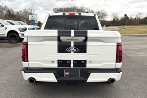 2024 Shelby Super Snake F-150 785HP CSM150 full