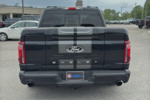 2025 Shelby Super Snake F-150 785HP CSM113 full