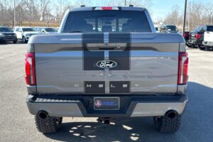 2025 Shelby F-150 Off-Road 785HP CSM34 full