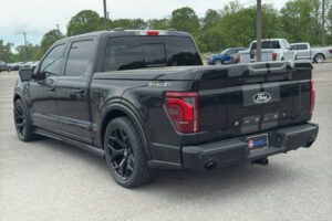 2025 Shelby Super Snake F-150 785HP CSM113 full