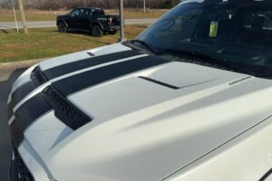 2024 Shelby F-150 Off-Road 785HP CSM345 full