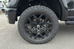 2025 Shelby F-150 Off-Road 785HP CSM219 full