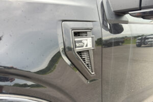 2025 Shelby Super Snake F-150 785HP CSM113 full