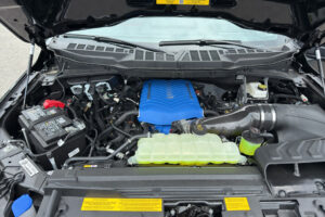 2025 Shelby Super Snake F-150 785HP CSM113 full