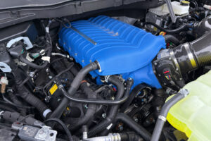 2025 Shelby Super Snake F-150 785HP CSM113 full