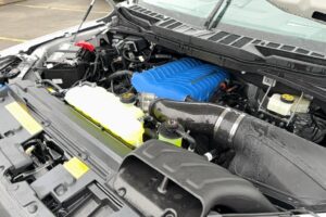 2024 Shelby Super Snake F-150 785HP CSM150 full