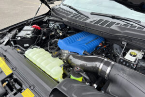 2025 Shelby Super Snake F-150 785HP CSM113 full