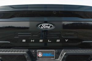 2025 Shelby Super Snake F-150 785HP CSM16 full